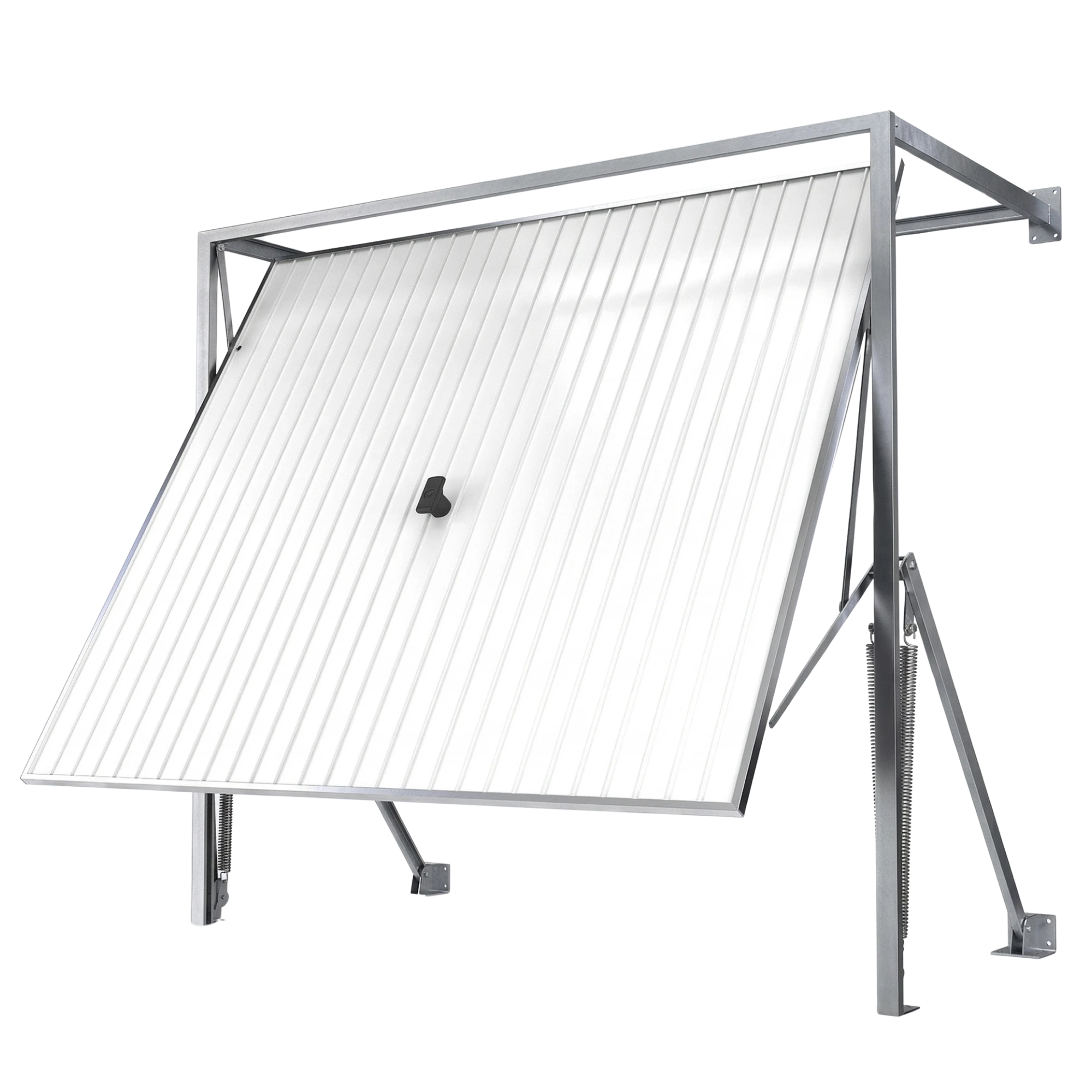 Porte sectionnelle Paris - modele 6